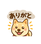 ひなちゃんのワンダフルデイ（個別スタンプ：3）