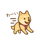 ひなちゃんのワンダフルデイ（個別スタンプ：14）
