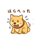 ひなちゃんのワンダフルデイ（個別スタンプ：19）