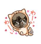 猫日和な猫屋敷スタンプⅡ（個別スタンプ：6）