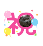 猫日和な猫屋敷スタンプⅡ（個別スタンプ：8）