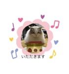 かわいいアイビーにゃん（個別スタンプ：3）