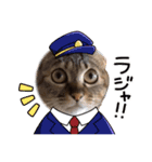 猫日和な猫屋敷スタンプ（個別スタンプ：7）