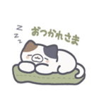 くれくれにゃースタンプ（個別スタンプ：8）