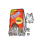 猫あるある（ぶち猫（白灰）／短毛）（個別スタンプ：1）