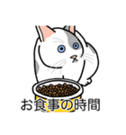 猫あるある（ぶち猫（白灰）／短毛）（個別スタンプ：3）