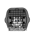 猫あるある（ぶち猫（白灰）／短毛）（個別スタンプ：8）