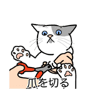 猫あるある（ぶち猫（白灰）／短毛）（個別スタンプ：11）