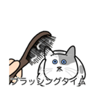 猫あるある（ぶち猫（白灰）／短毛）（個別スタンプ：12）