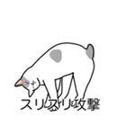 猫あるある（ぶち猫（白灰）／短毛）（個別スタンプ：15）