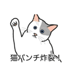 猫あるある（ぶち猫（白灰）／短毛）（個別スタンプ：17）