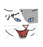 猫あるある（ぶち猫（白灰）／短毛）（個別スタンプ：18）