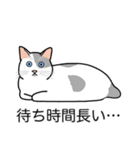 猫あるある（ぶち猫（白灰）／短毛）（個別スタンプ：22）