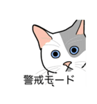 猫あるある（ぶち猫（白灰）／短毛）（個別スタンプ：23）