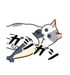 猫あるある（ぶち猫（白灰）／短毛）（個別スタンプ：24）