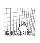 猫あるある（ぶち猫（白灰）／短毛）（個別スタンプ：27）