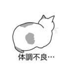 猫あるある（ぶち猫（白灰）／短毛）（個別スタンプ：31）