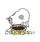 猫あるある（ぶち猫（白灰）／短毛）（個別スタンプ：32）