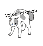 猫あるある（ぶち猫（白灰）／短毛）（個別スタンプ：37）