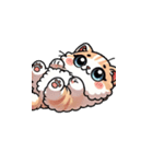 ねこのいる生活 スタンプ（個別スタンプ：3）