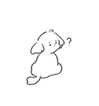 ゆるいマルプーの日常（個別スタンプ：9）