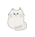 ねこたんスタンプ〈文字なし〉（個別スタンプ：4）
