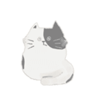 ねこたんスタンプ〈文字なし〉（個別スタンプ：8）