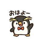 イワトビペンギンとあいさつ（個別スタンプ：1）