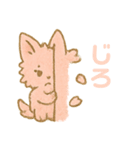 春が来たもふのり（個別スタンプ：16）