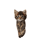 猫パン作ろ。【パン酵母】（個別スタンプ：8）