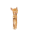 猫パン作ろ。【パン酵母】（個別スタンプ：11）