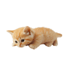 猫パン作ろ。【パン酵母】（個別スタンプ：20）