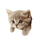 猫パン作ろ。【パン酵母】（個別スタンプ：34）