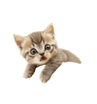 猫パン作ろ。【パン酵母】（個別スタンプ：35）