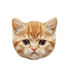 猫パン作ろ。【パン酵母】（個別スタンプ：39）