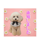 みなみだよ202503（個別スタンプ：11）