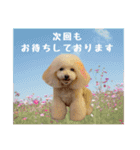 みなみだよ202503（個別スタンプ：15）