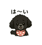 かわいいきーちゃんスタンプ1（個別スタンプ：3）