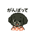 かわいいきーちゃんスタンプ1（個別スタンプ：12）