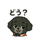 かわいいきーちゃんスタンプ1（個別スタンプ：15）