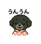 かわいいきーちゃんスタンプ1（個別スタンプ：16）