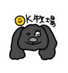 黒プードルのちこちゃん（個別スタンプ：4）
