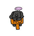 黒プードルのちこちゃん（個別スタンプ：5）