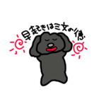 黒プードルのちこちゃん（個別スタンプ：12）