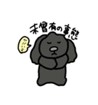 黒プードルのちこちゃん（個別スタンプ：14）