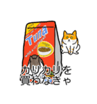 猫あるある（茶白猫／短毛）（個別スタンプ：1）