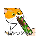 猫あるある（茶白猫／短毛）（個別スタンプ：4）