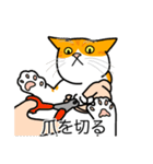 猫あるある（茶白猫／短毛）（個別スタンプ：11）