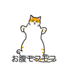 猫あるある（茶白猫／短毛）（個別スタンプ：14）