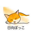 猫あるある（茶白猫／短毛）（個別スタンプ：16）